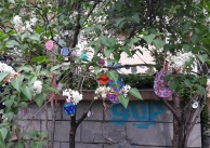 27.04.2021 г. Великденско дърво 27.04.2021 г. Великденско дърво