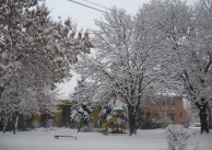 22.12.2011 г. Заваля сняг и читалището е с нова премяна 22.12.2011 г. Заваля сняг и читалището е с нова премяна