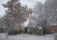 22.12.2011 г. Заваля сняг и читалището е с нова премяна 22.12.2011 г. Заваля сняг и читалището е с нова премяна
